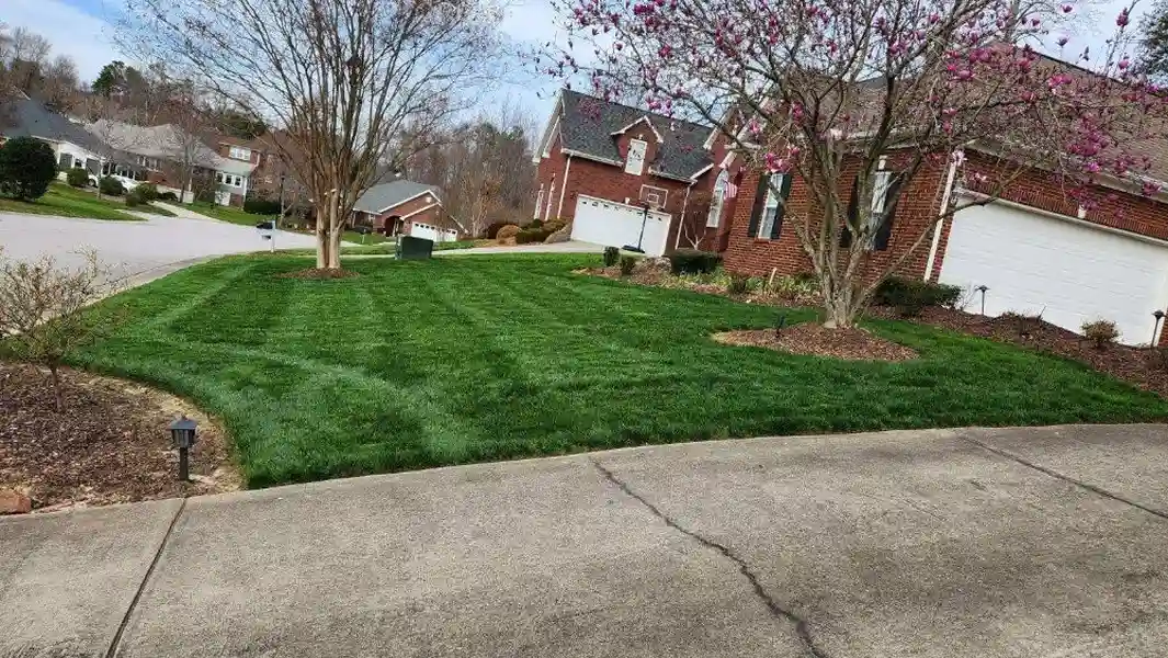 Landscaping