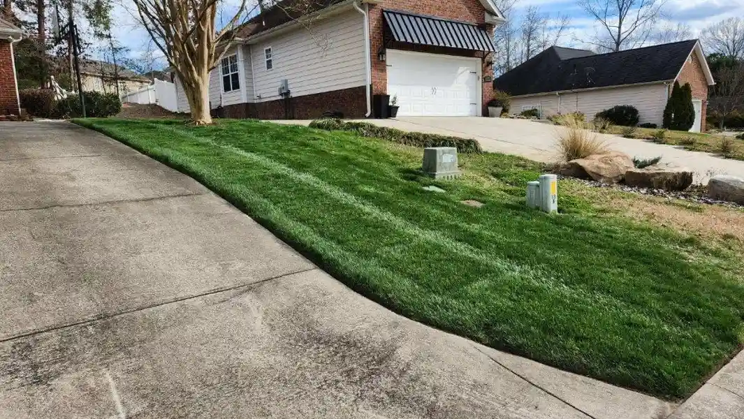 Landscaping