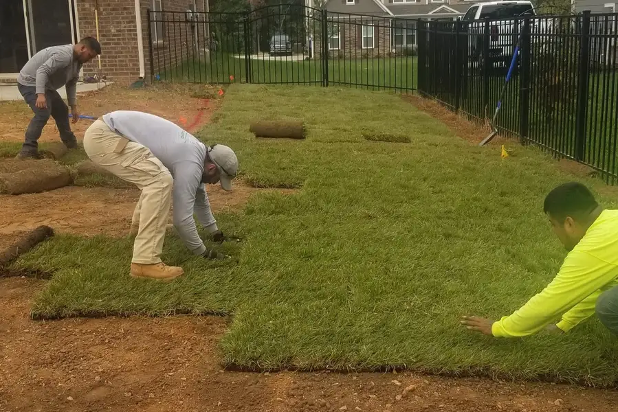 Landscaping