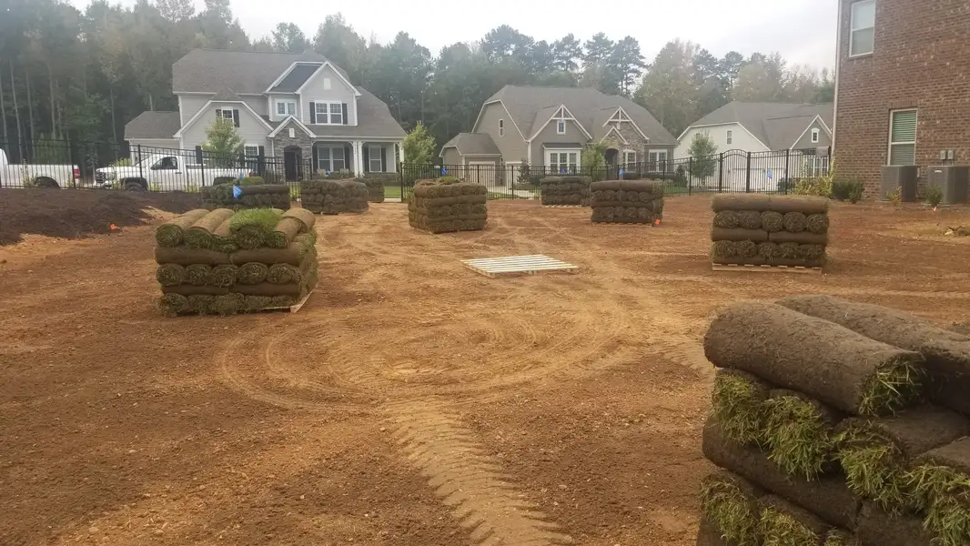 Landscaping