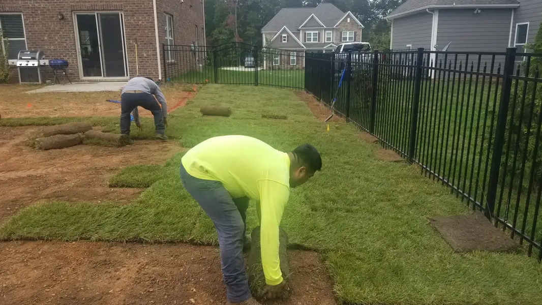 Landscaping