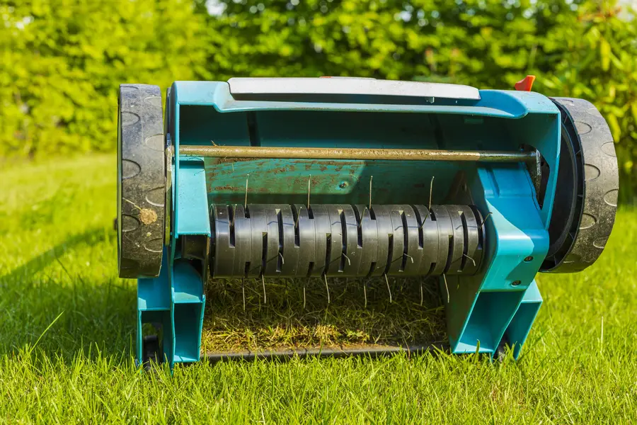 Lawn Aeration