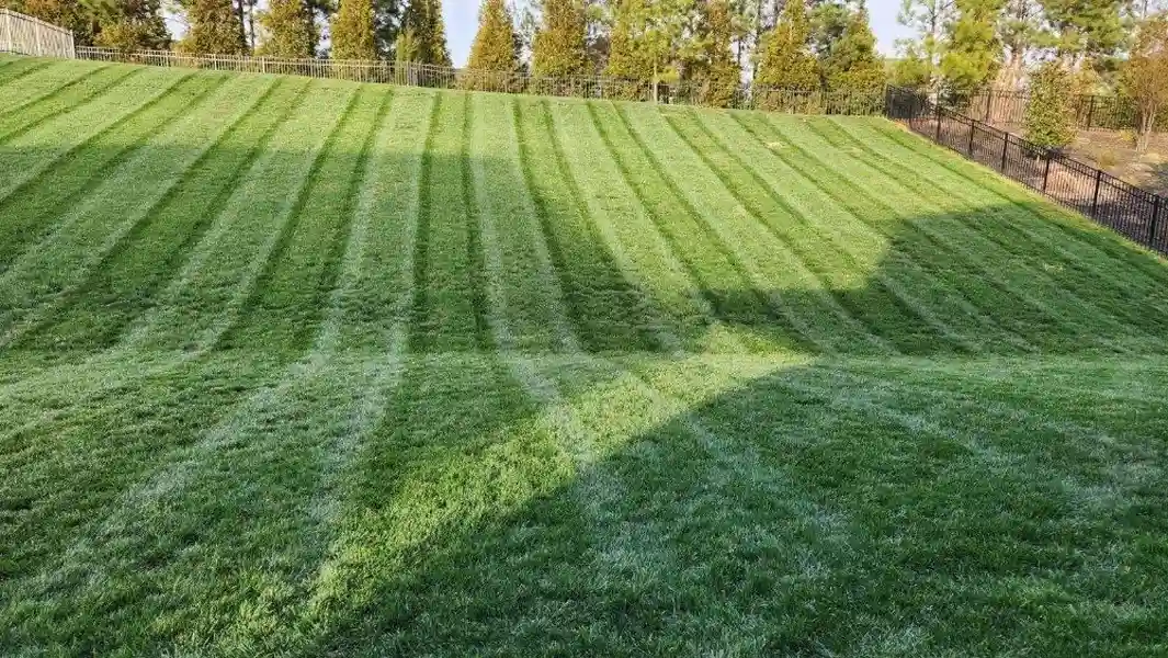 Lawn Care