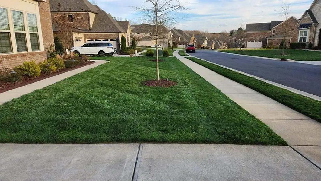 Weed Control